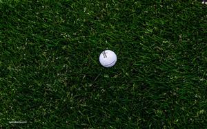 Golf Abstract